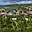 Prodej stavební parcely 1 000 m² Olomouc