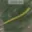 Prodej louky 3 570 m² Němčičky