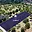 Prodej stavební parcely 2 428 m² Vojkovice