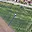Prodej stavební parcely 1 274 m² Brno Bosonohy