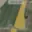 Prodej louky 61 312 m² Zvěrotice