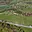 Prodej stavební parcely 74 531 m² Provodov