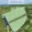 Prodej zemědělské půdy 56 697 m² Šardice