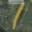 Prodej louky 1 289 m² Ochoz u Brna