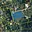 Prodej stavební parcely 3 446 m² Jablonec nad Nisou Kokonín, Kaštanová