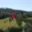 Prodej stavební parcely 2 088 m² Olešnice v Orlických horách