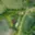 Prodej zahrady 400 m² Mnichov