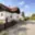 Prodej rodinného domu 120 m² Velký Šenov, Mikulášovická