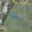 Prodej stavební parcely 581 m² Srbice