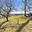Prodej stavební parcely 2 216 m² Vyklantice Starý Smrdov