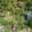Prodej stavební parcely 550 m² Plzeň Litice