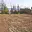 Prodej stavební parcely 909 m² Teplice Nová Ves