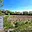 Prodej stavební parcely 2 733 m² Věrovany