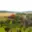 Prodej stavební parcely 581 m² Moravské Málkovice