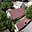 Prodej rodinného domu 234 m² Tužice