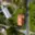 Prodej rodinného domu 204 m² Hradešice Černíč