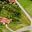 Prodej stavební parcely 1 095 m² Horní Újezd