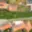 Prodej stavební parcely 506 m² Lanžhot