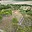 Prodej zahrady 793 m² Hustopeče