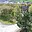 Prodej stavební parcely 767 m² Lysice