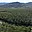 Prodej stavební parcely 2 421 m² v Chorvatsku