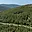 Prodej stavební parcely 4 226 m² v Chorvatsku