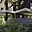 Prodej bytu 2+1 78 m² v Chorvatsku