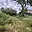 Prodej stavební parcely 4 968 m² v Chorvatsku