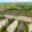 Prodej bytu 1+1 34 m² Podbořany, Sídliště Míru