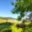 Prodej zahrady 524 m² Trmice Koštov