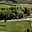 Prodej stavební parcely 1 329 m² Sulice Želivec, Kaštanová