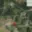 Prodej louky 431 m² Nejdek