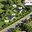 Prodej stavební parcely 674 m² Bochov