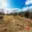 Prodej stavební parcely 707 m² Řepín Živonín