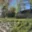 Prodej zahrady 365 m² Tachov, Příčná