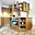 Pronájem bytu 2+1 60 m² Tachov, Zárečná