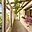 Prodej rodinného domu 89 m² Hostomice, Rybnice