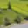 Prodej stavební parcely 848 m² Pyšely Nová Ves, Ladova
