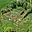 Prodej stavební parcely 2 776 m² Rychnov na Moravě