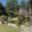 Prodej chaty 28 m² Ledenice Zborov