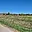 Prodej stavební parcely 800 m² Čejkovice