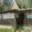 Prodej chaty 28 m² Ledenice Zborov
