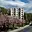 Prodej bytu 2+1 50 m² Děčín VI-Letná, U Tvrze