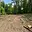 Prodej lesa 7 988 m² Kelč Komárovice