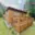 Prodej chaty 30 m² Jesenice