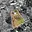 Prodej chaty 30 m² Liberec XIV-Ruprechtice