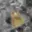 Prodej chaty 15 m² Liberec XIV-Ruprechtice