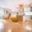 Prodej bytu 2+kk 55 m² Praha Horní Počernice, Ve žlíbku