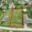 Prodej stavební parcely 1 260 m² Šimonovice Minkovice