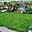 Prodej stavební parcely 807 m² Měšice